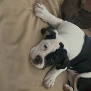 Meet your Posher, Carolyn